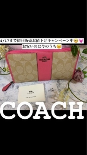 シグネチャーキャンバスアコーディオンジップ ビビットピンク