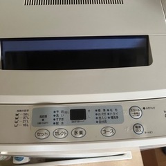 無料　譲りますの画像