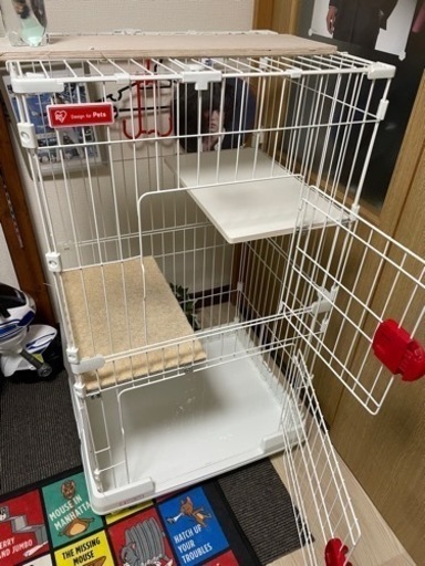 猫ゲージ