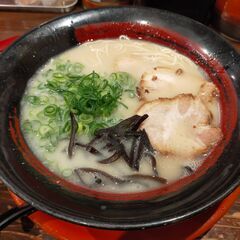 【和歌山市や海南市周辺】ラーメン好きな友達募集してます！ - 友達