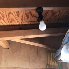 小屋　物置引き取り限定の画像
