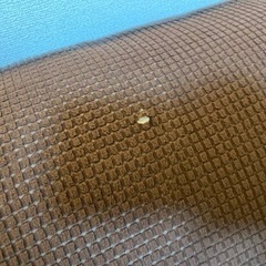 2人がけソファー無料で譲ります。の画像