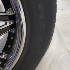 ブラックダイヤモンドの画像