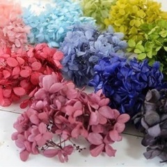 プリザーブド紫陽花tjの画像