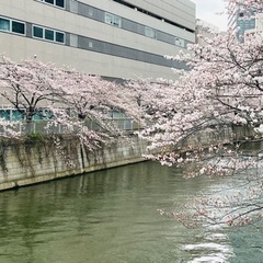 4/9 8:30〜朝活🌅ゴミ拾いしませんか？ - 友達