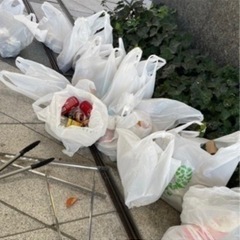 4/9 8:30〜朝活🌅ゴミ拾いしませんか？