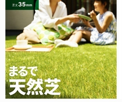 3月末に買ったばかりモダンデコの人工芝。フレッシュグリーン