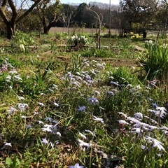 【子ども連れok！】夏の帽子づくりの画像