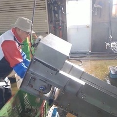 ホタテ稚貝放流募集の画像