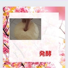 手作りパン　発酵について