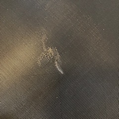 室内用トランポリンの画像