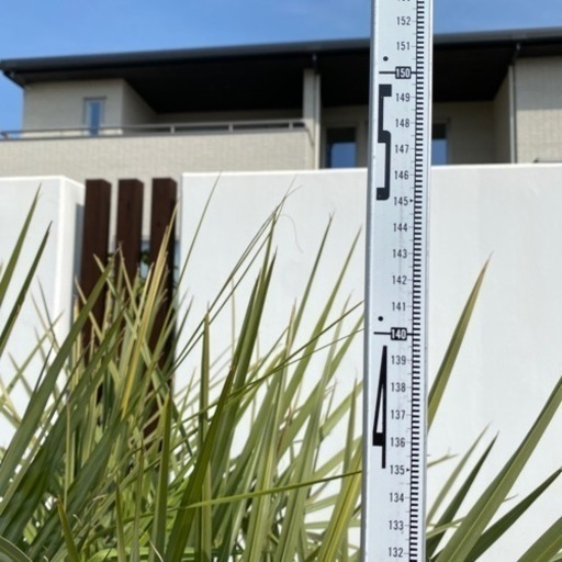 ココスヤシ　1.5m