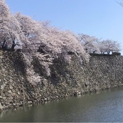 40代からの「けんこう倶楽部」 - 姫路市