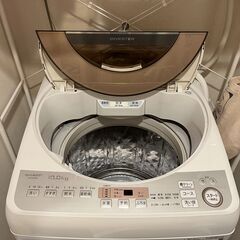 SHARP★10kg洗濯機★１年半のみ使用の美品★4月15日迄
