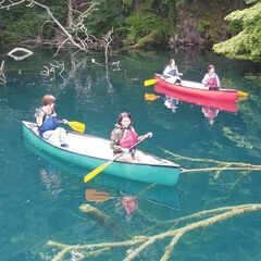 アクティビティースタッフ募集　新規事業です。の画像