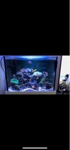 60×45×45オルカオーバーフロー水槽セット