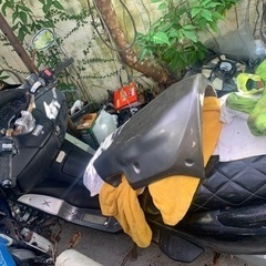 フォルツァmf08