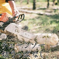 【早い者勝ち】国産檜 ヒノキ 薪 丸太 直径20cm 長さ40cm 1本 桧 ひのき 原木 切株 キャンプ バーベキュー 焚き火 焚火 ソロキャンプ アウトドア 薪割り ストーブ オーブン BBQ 針葉樹 千葉 薪割り おすすめ 自作 家族 思い出の画像