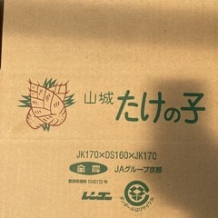 【朝ぼり】京都　山城産　たけのこ　2キロの画像
