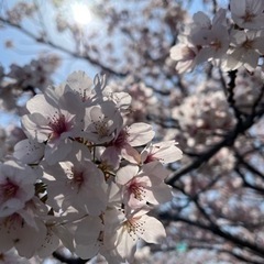 県外から - 福山市