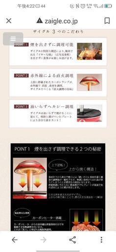 人気★ザイグル