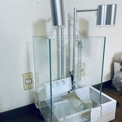 Brio 水槽　ハイタイプ　アクアポニックス　ADA