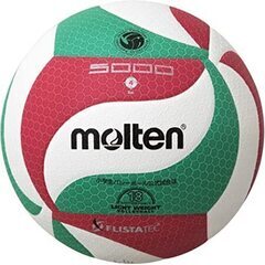 桑名バレーボールチーム「M.I.X（ミックス）」メンバー募集中！ 
