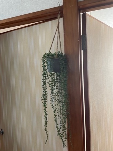 フェイクプラント