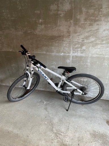 giant snap XSサイズ