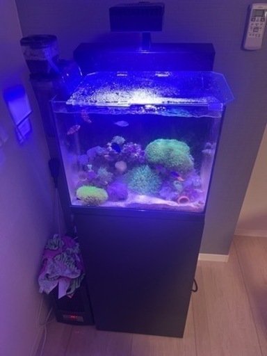 シェル2 水槽＋キャビネットその他