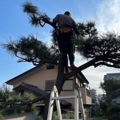 体を動かし、お客様に感謝をされるお仕事ですスタッフ大募集！の画像