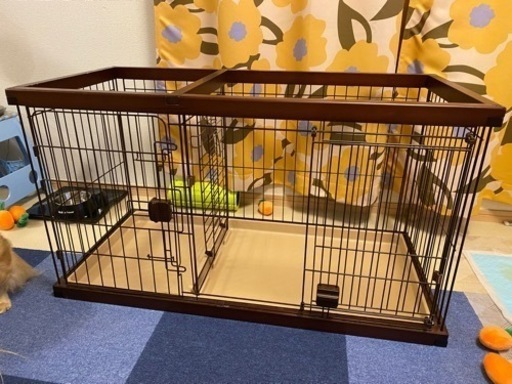 犬小屋