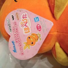 ポケモン★アチャモ★タグ付きの画像