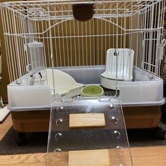 うさぎ　ケージ　セット