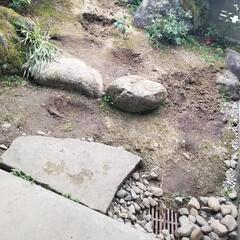 【4月7日写真変更】苔付き！形のいい庭石・植木お譲りします②の画像