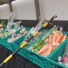 野菜市開催します