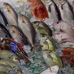 鮮魚スタッフ（寮完備）