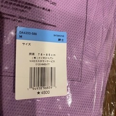 ナイキ　ショートパンツ　ナイキ SB Dri-FITの画像