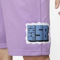 ナイキ　ショートパンツ　ナイキ SB Dri-FITの画像