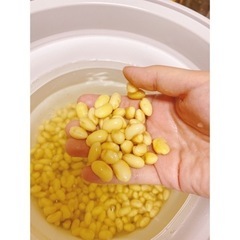 発酵教室   cloverの画像