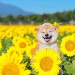 叶えたい夢や目標がある人