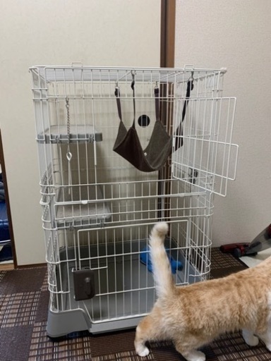 猫ゲージ