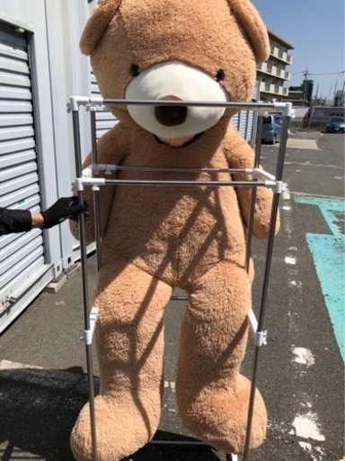 コストコでおなじみ特大くまのぬいぐるみです！