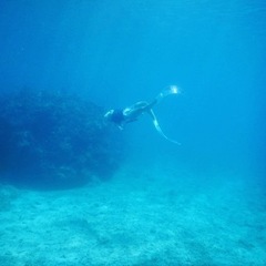 素潜り🧜‍♀️スキンダイビング一緒にしてくれる人募集🌟