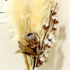 パンパスグラス　スワッグ