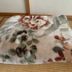 シングルサイズ　毛布　４月　末日まで限定
