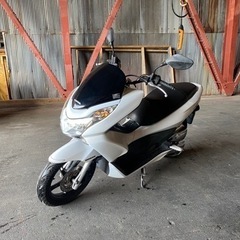 人気の白　PCX JF28 