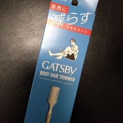 体のトリマー（減毛用）