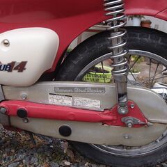 リトルカブの画像