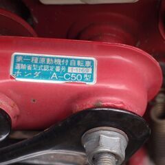 リトルカブの画像